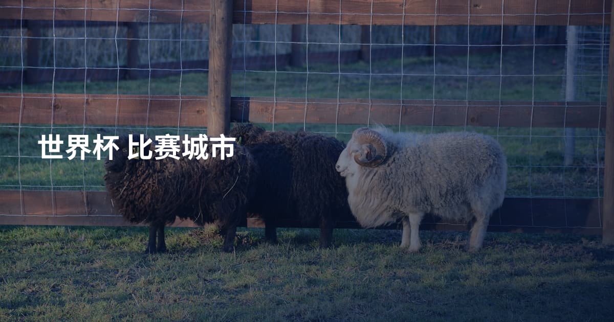 世界杯 比赛城市