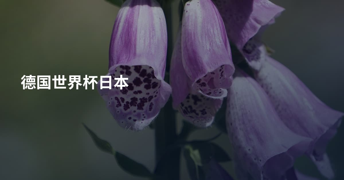 德国世界杯日本