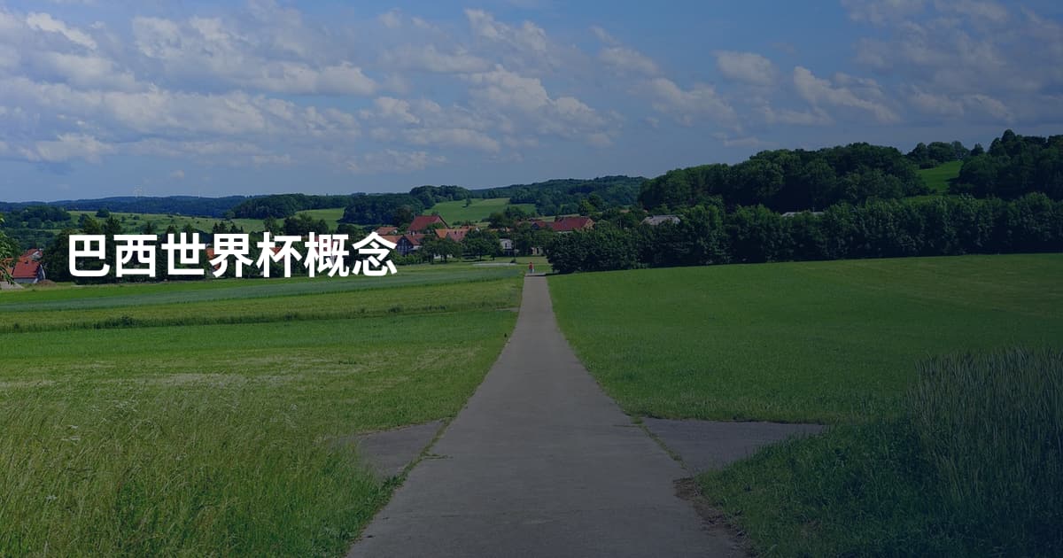 巴西世界杯概念