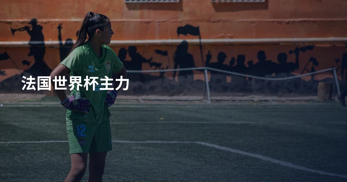 法国世界杯主力