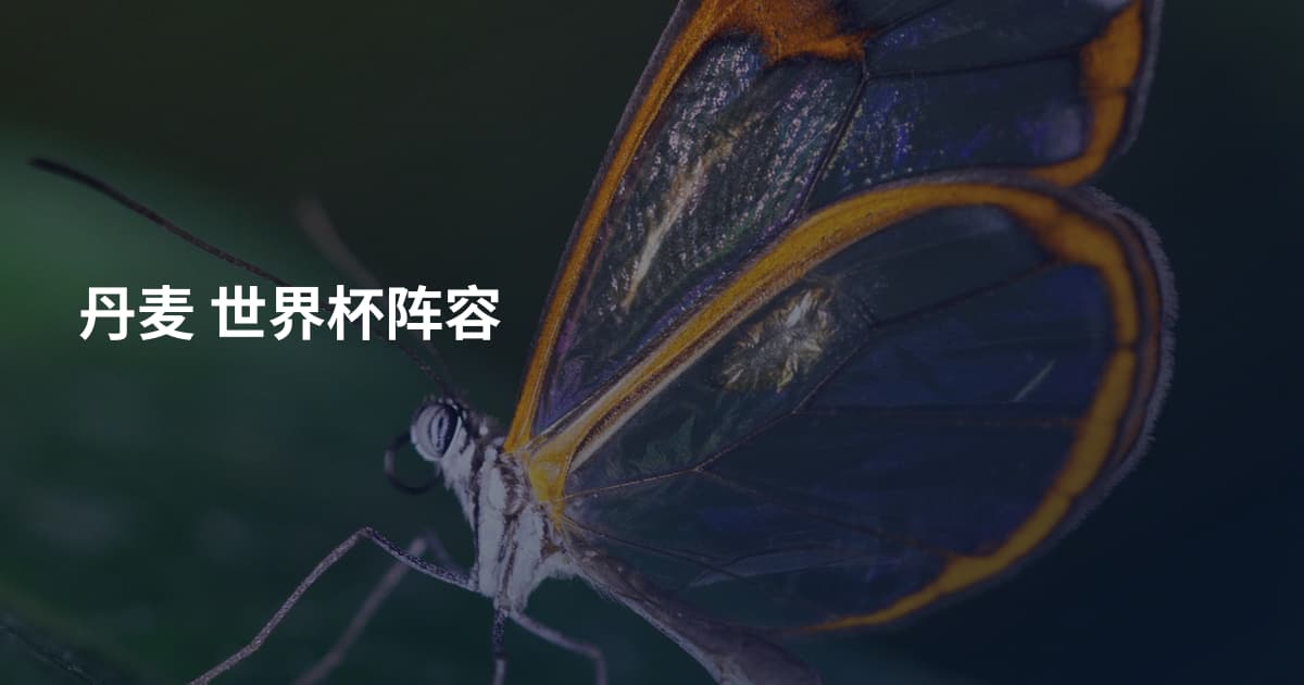 丹麦 世界杯阵容