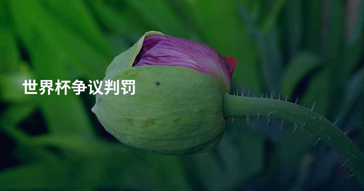 世界杯争议判罚