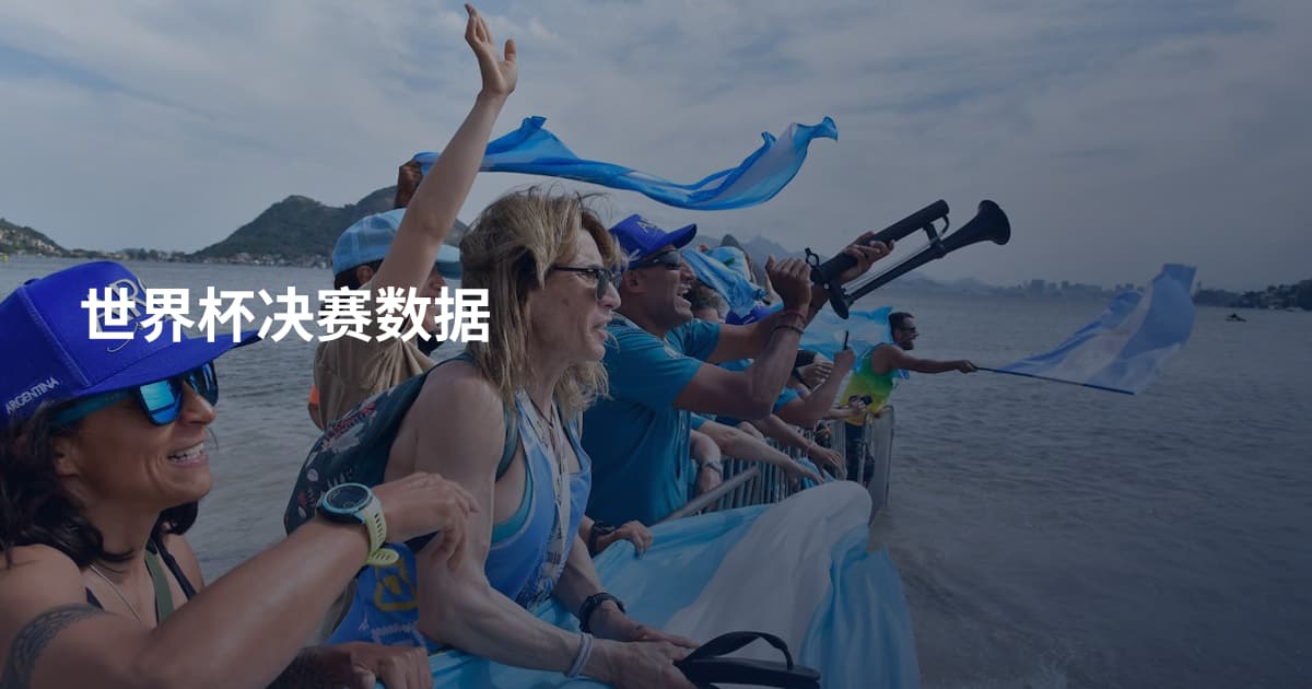 世界杯决赛数据
