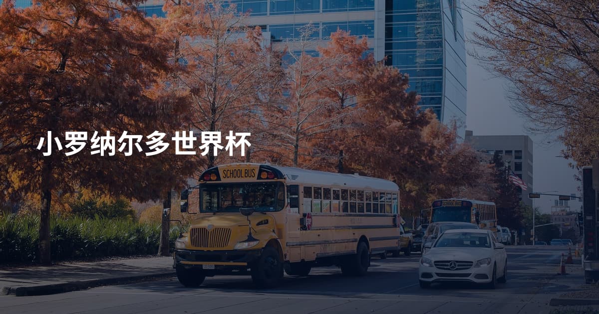 小罗纳尔多世界杯