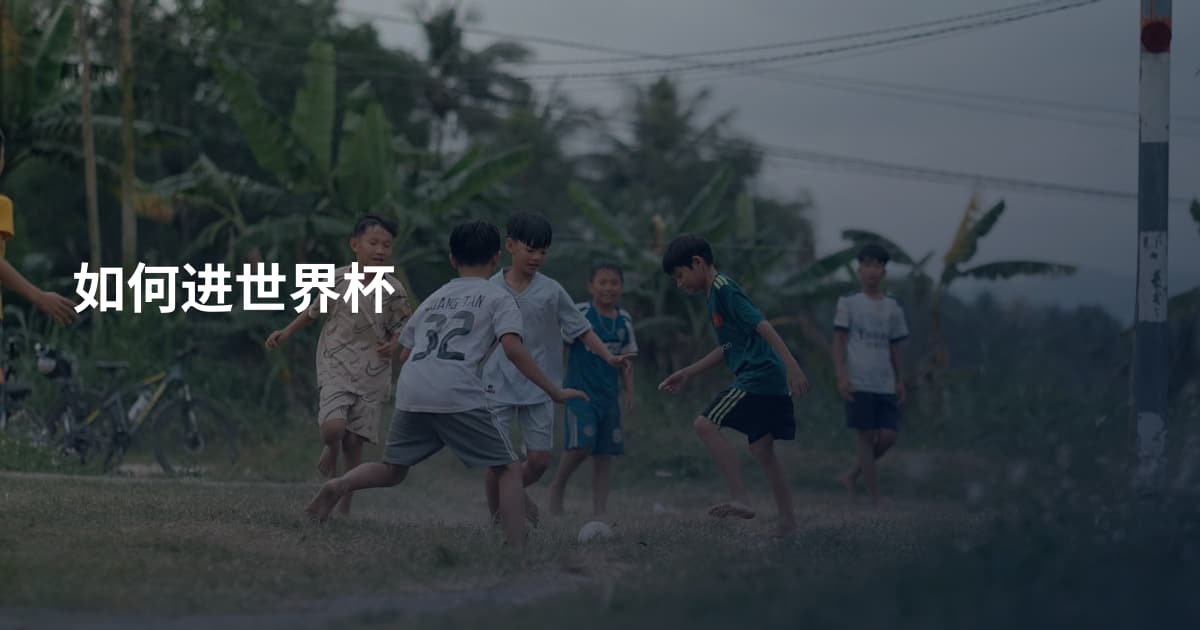 如何进世界杯