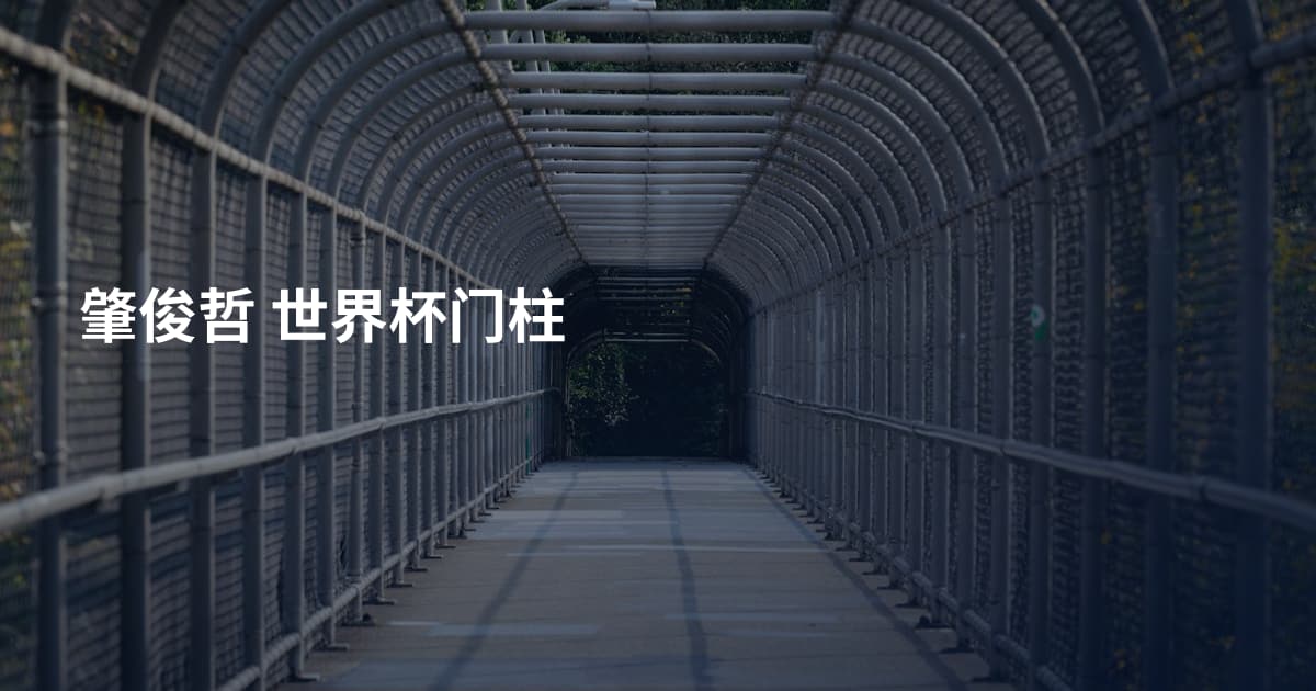 肇俊哲 世界杯门柱