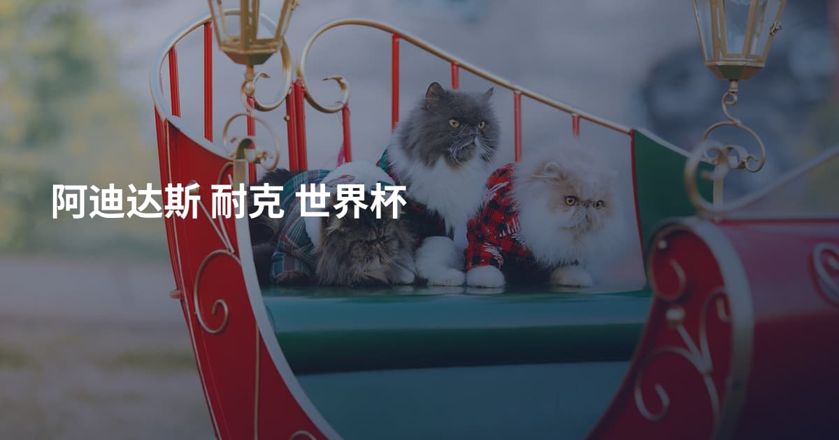 阿迪达斯 耐克 世界杯