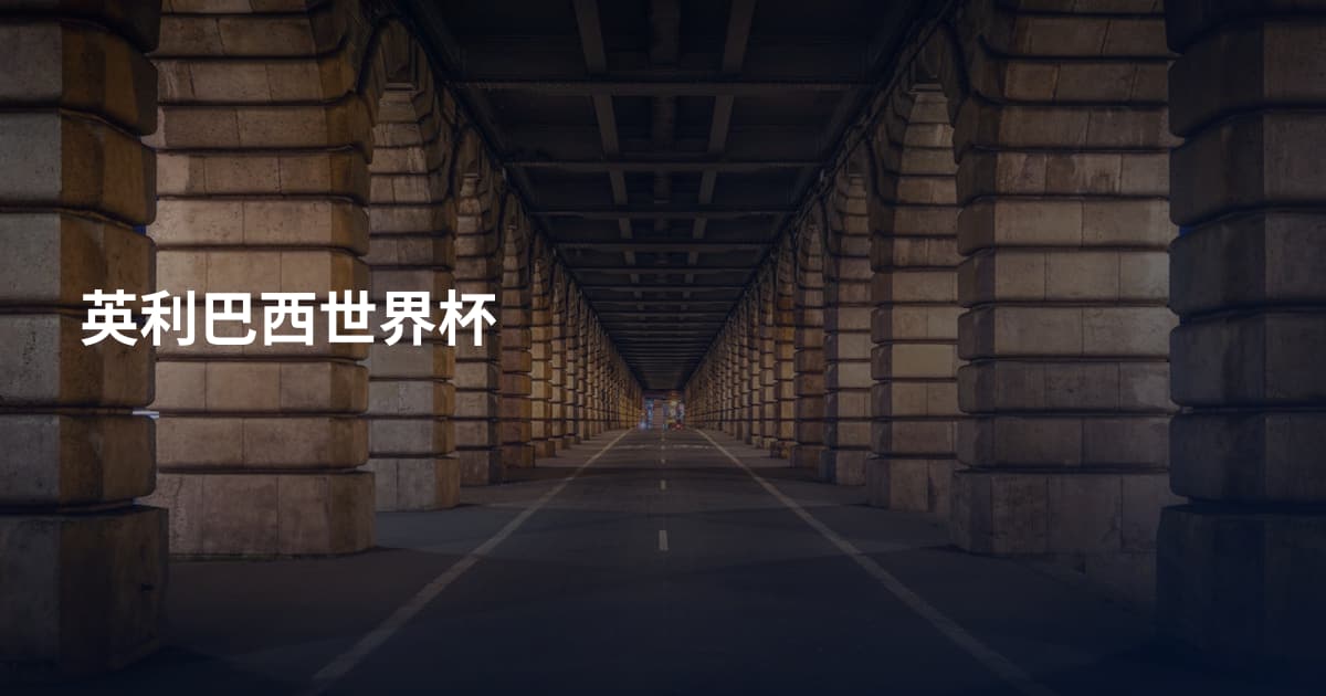 英利巴西世界杯