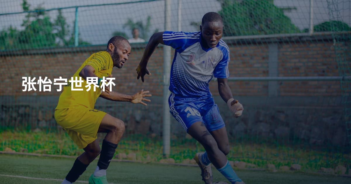 张怡宁世界杯