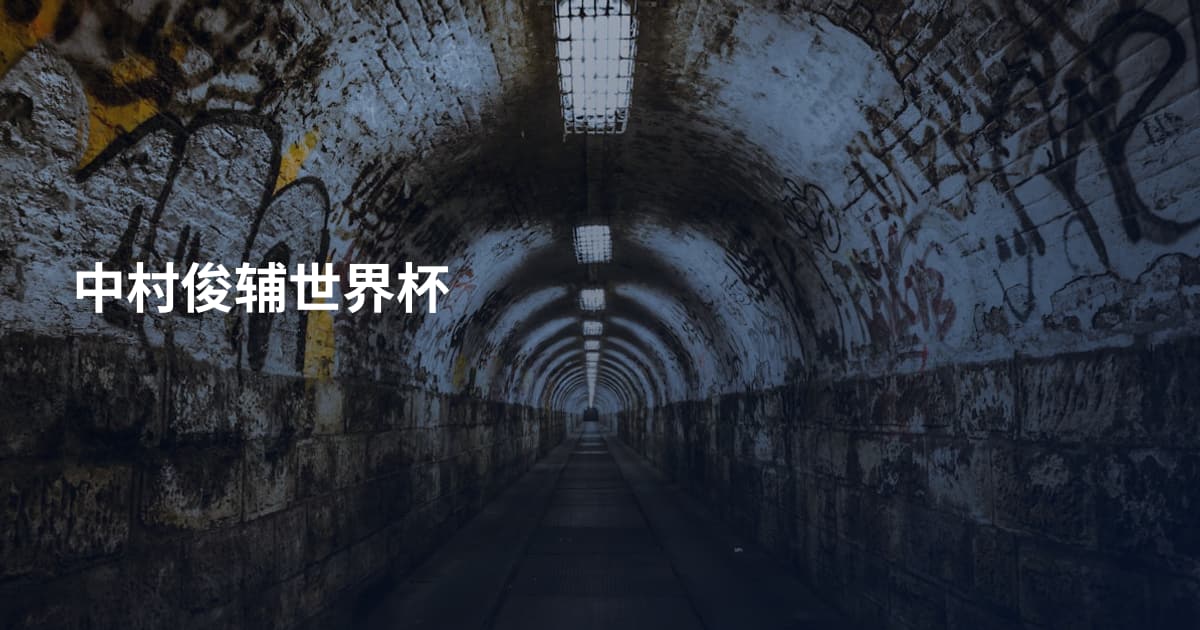 中村俊辅世界杯