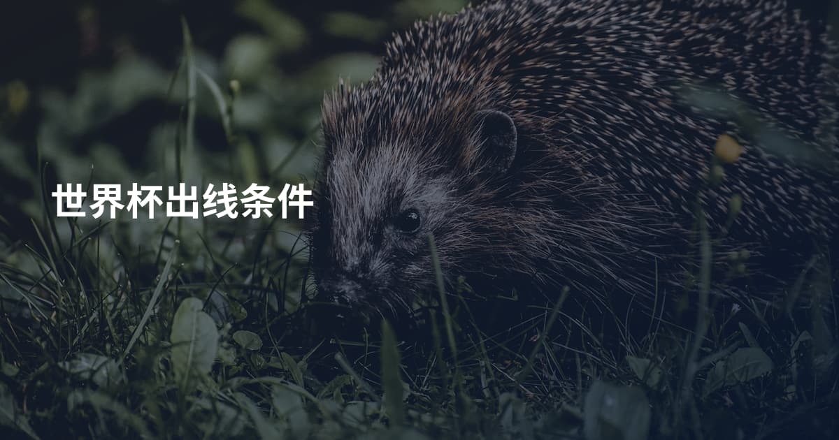 世界杯出线条件
