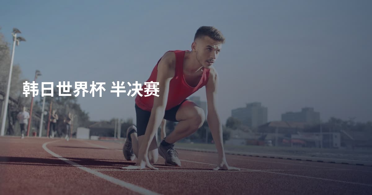 韩日世界杯 半决赛