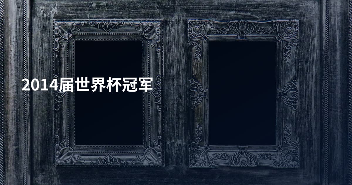 2014届世界杯冠军