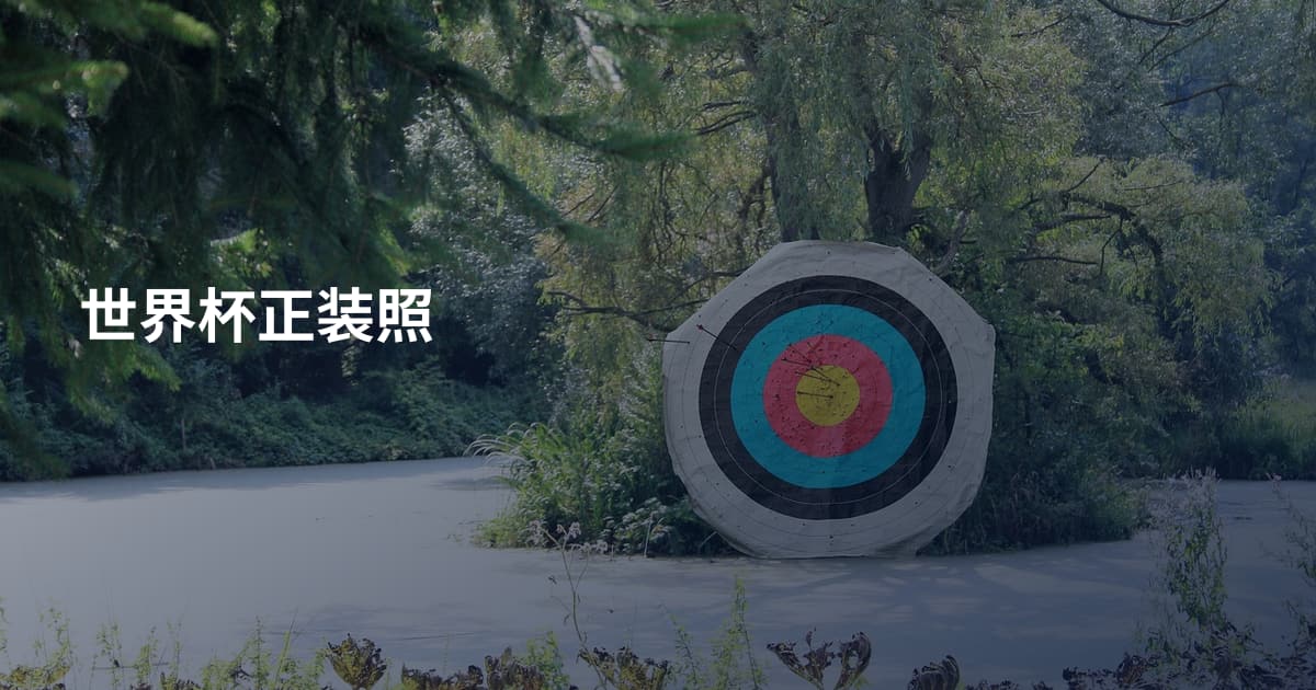 世界杯正装照
