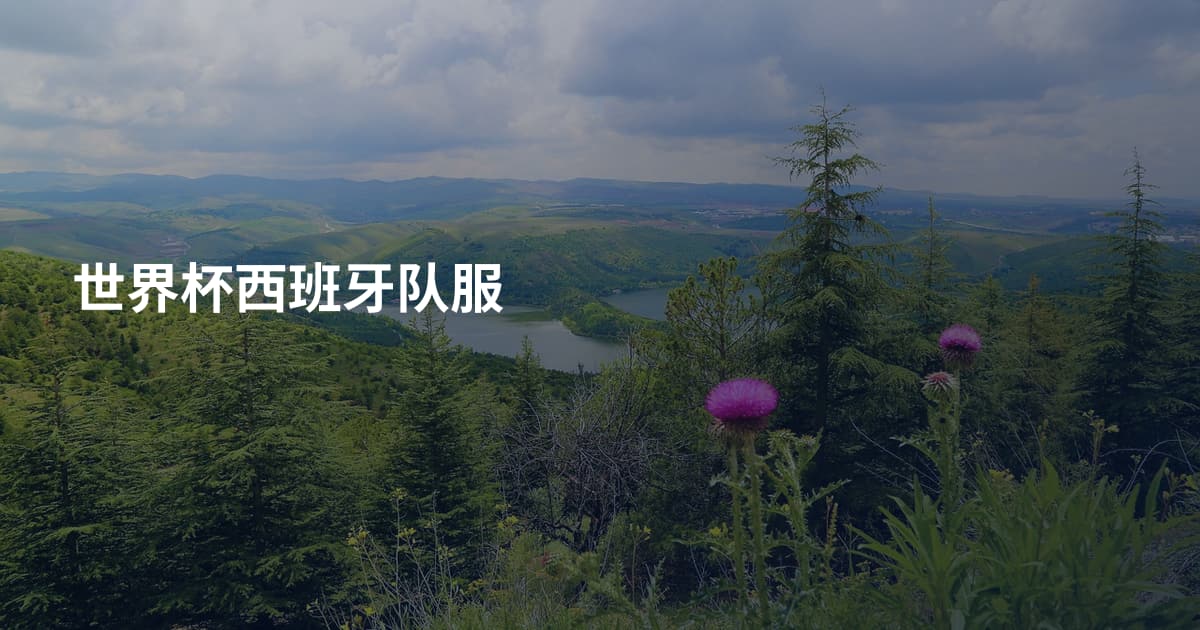 世界杯西班牙队服