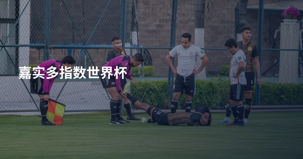 嘉实多指数世界杯