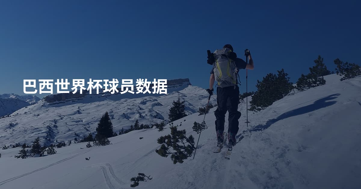 巴西世界杯球员数据