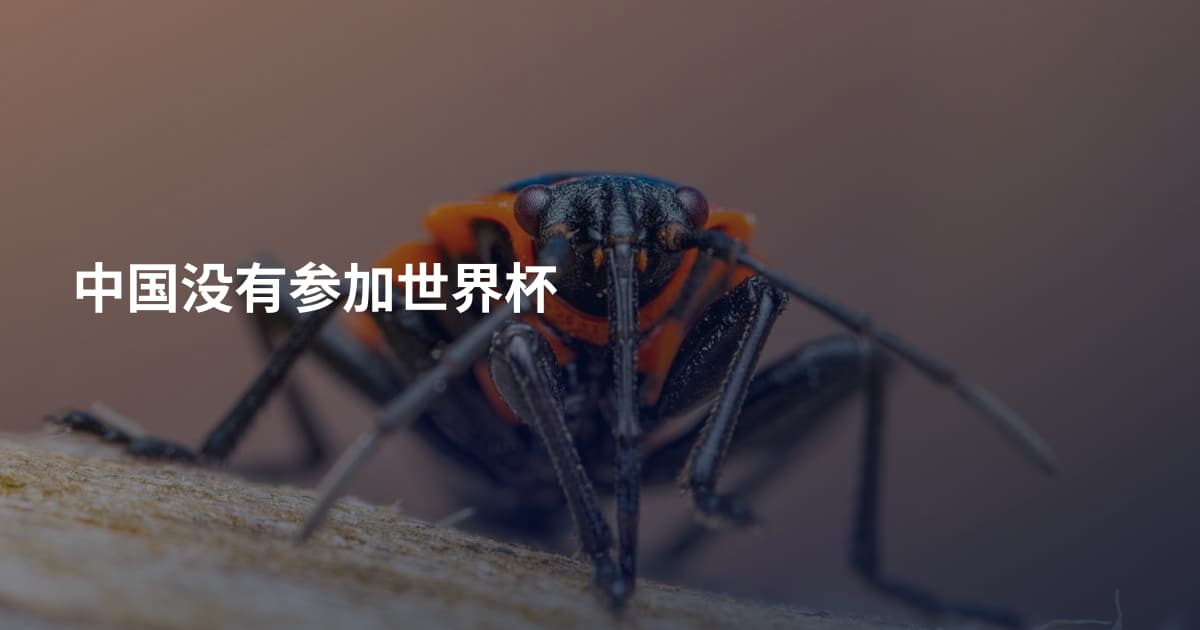 中国没有参加世界杯