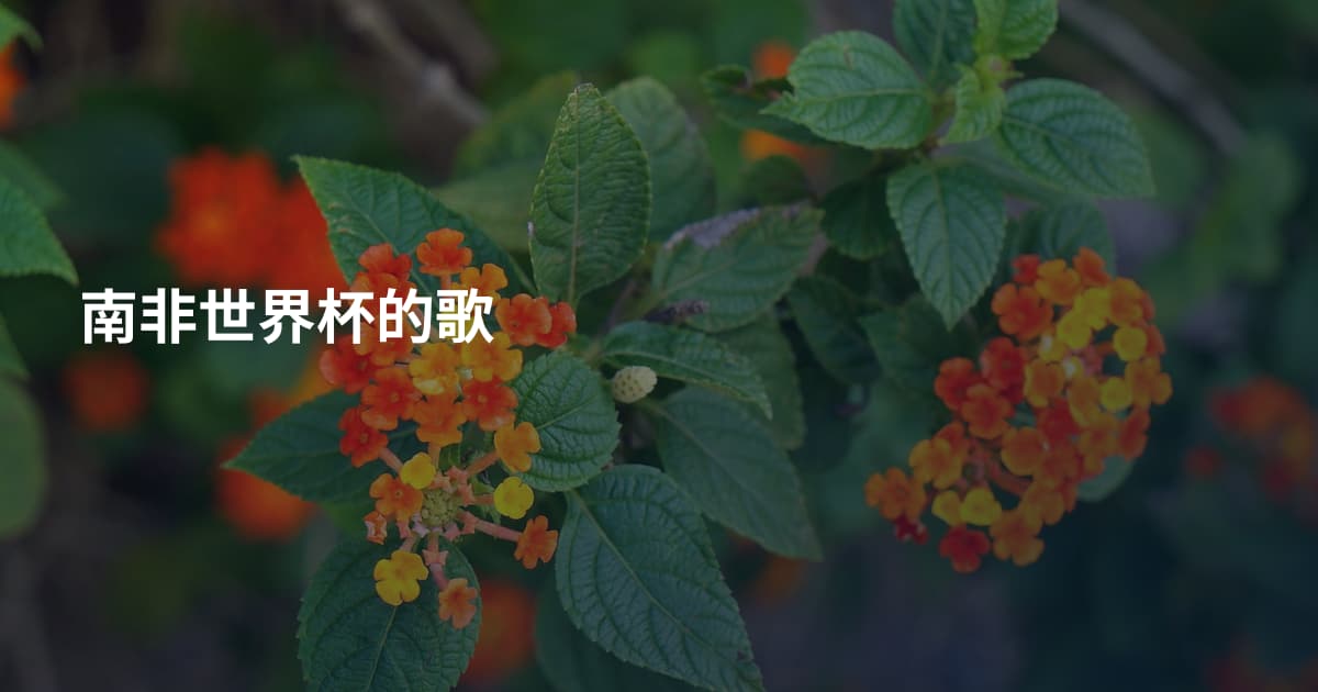 南非世界杯的歌