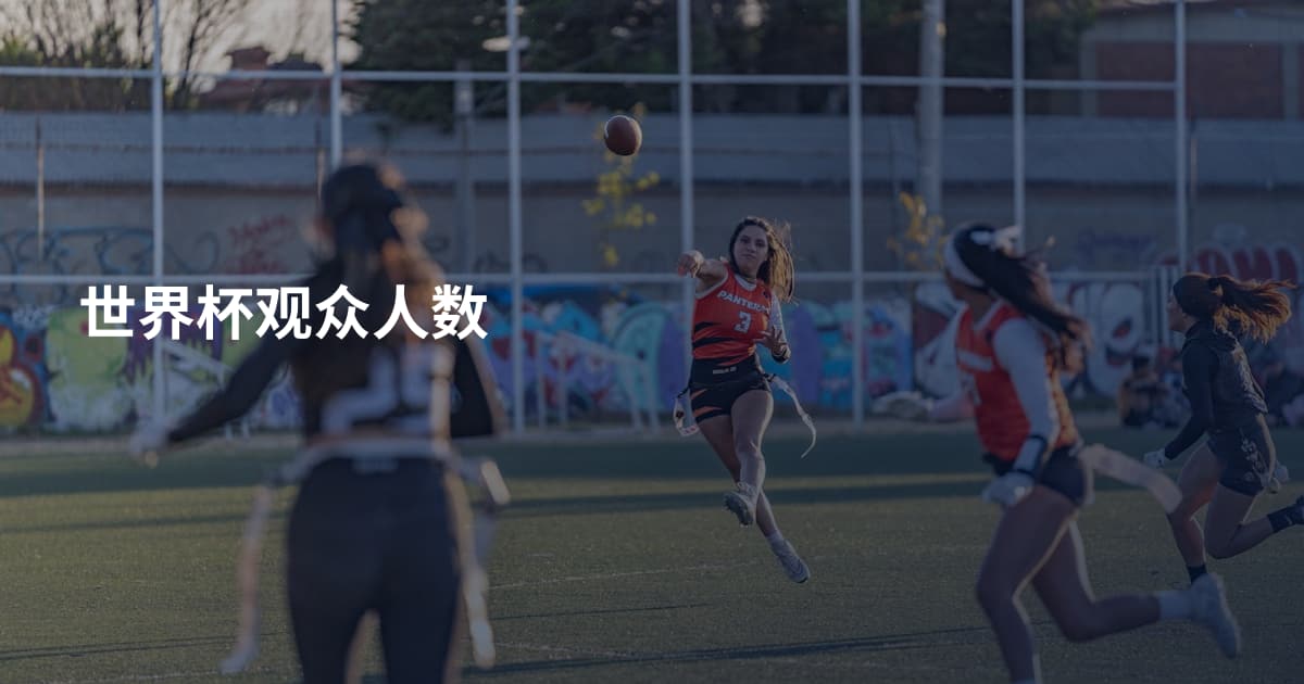 世界杯观众人数