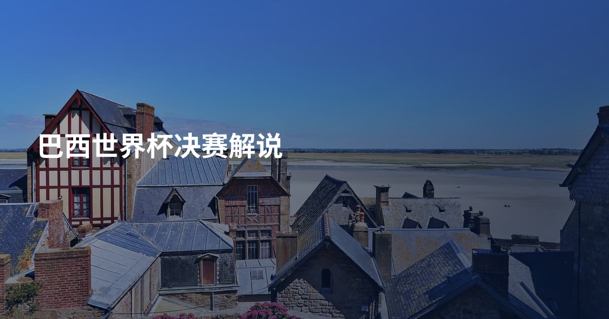 巴西世界杯决赛解说