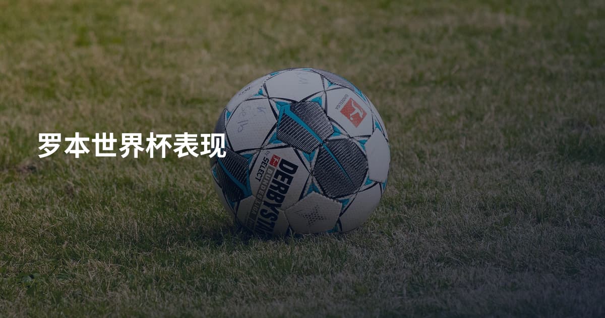 罗本世界杯表现