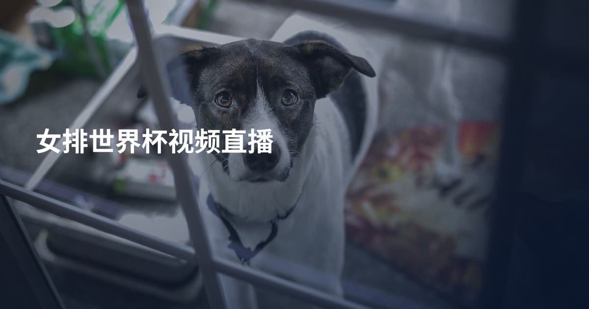 女排世界杯视频直播
