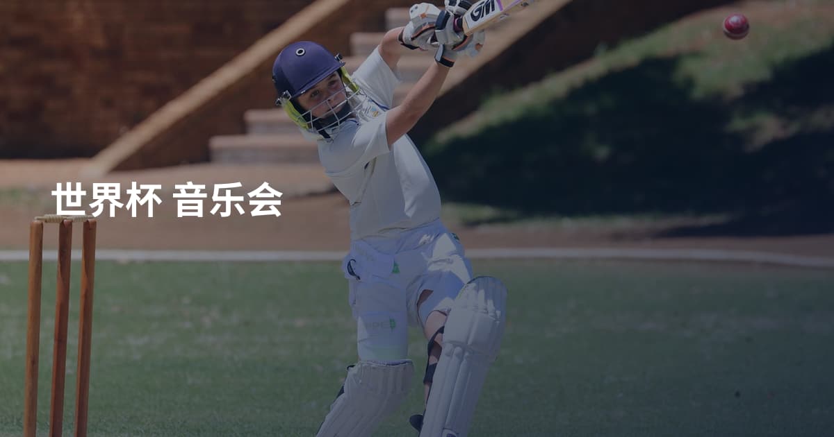 世界杯 音乐会