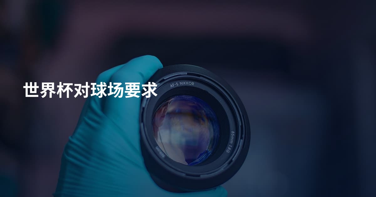 世界杯对球场要求