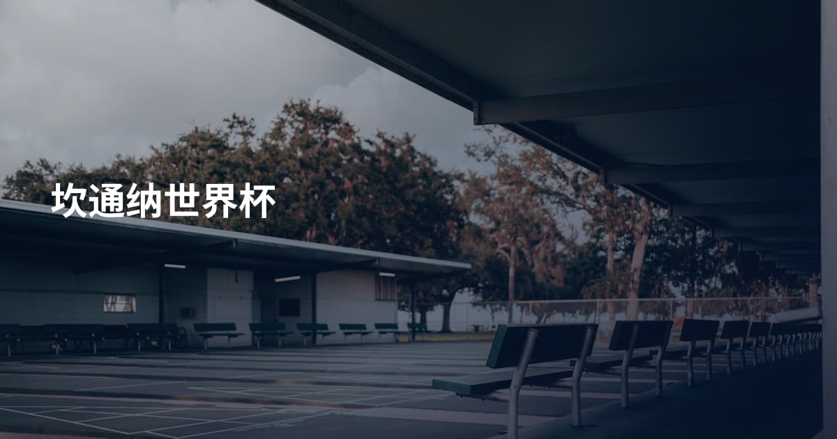 坎通纳世界杯