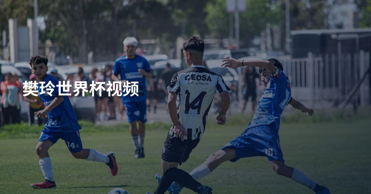 樊玲世界杯视频