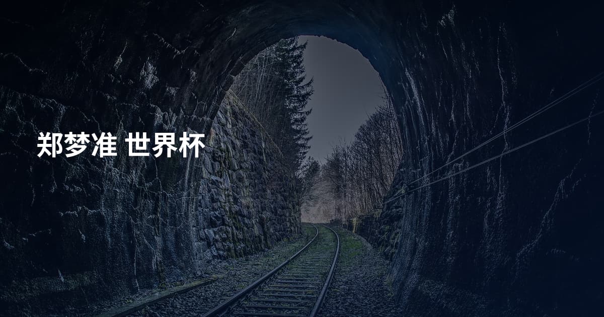 郑梦准 世界杯