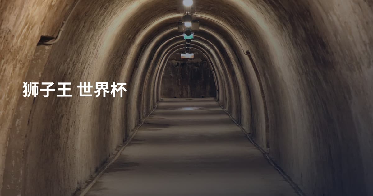 狮子王 世界杯