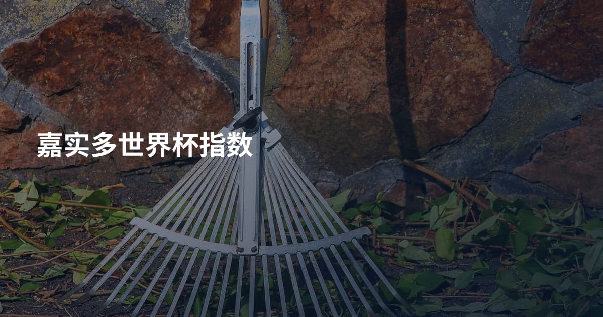 嘉实多世界杯指数