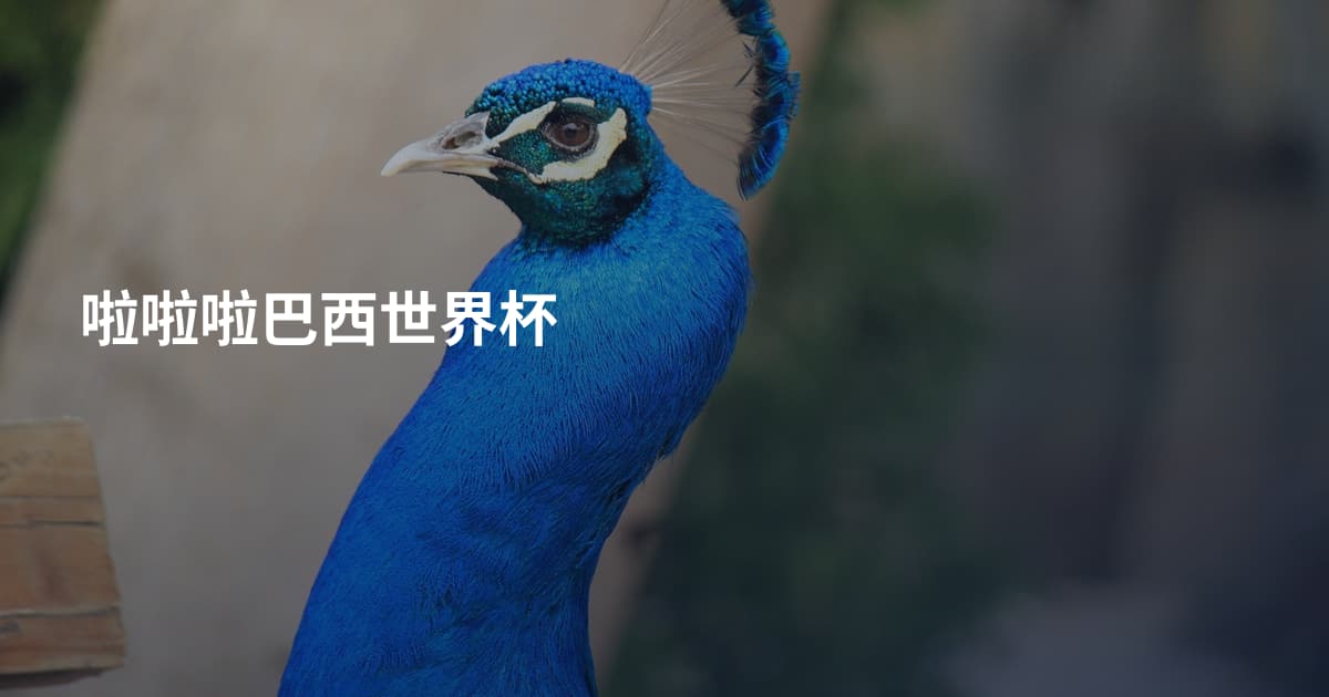 啦啦啦巴西世界杯