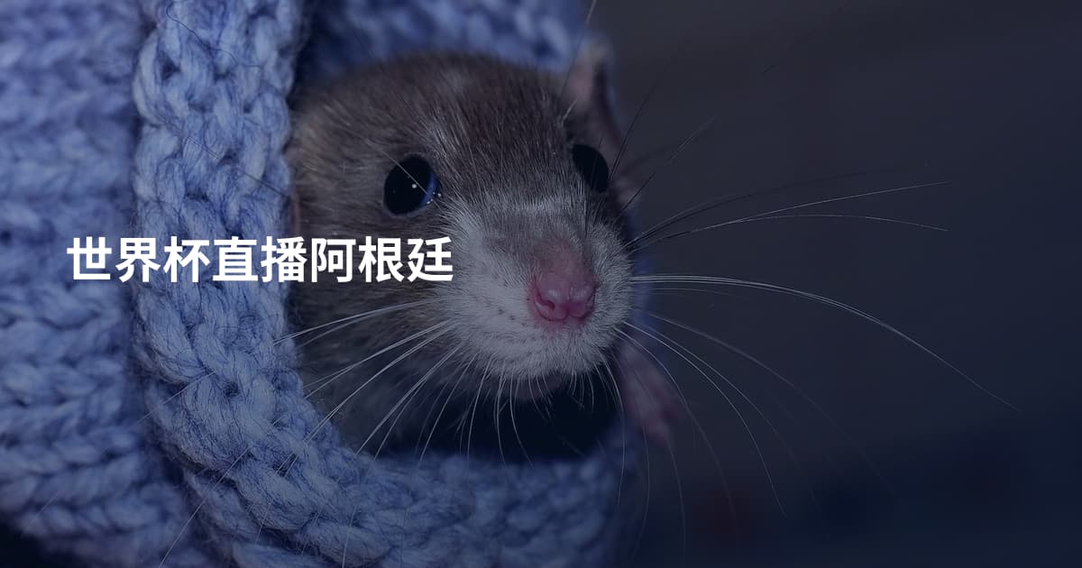 世界杯直播阿根廷