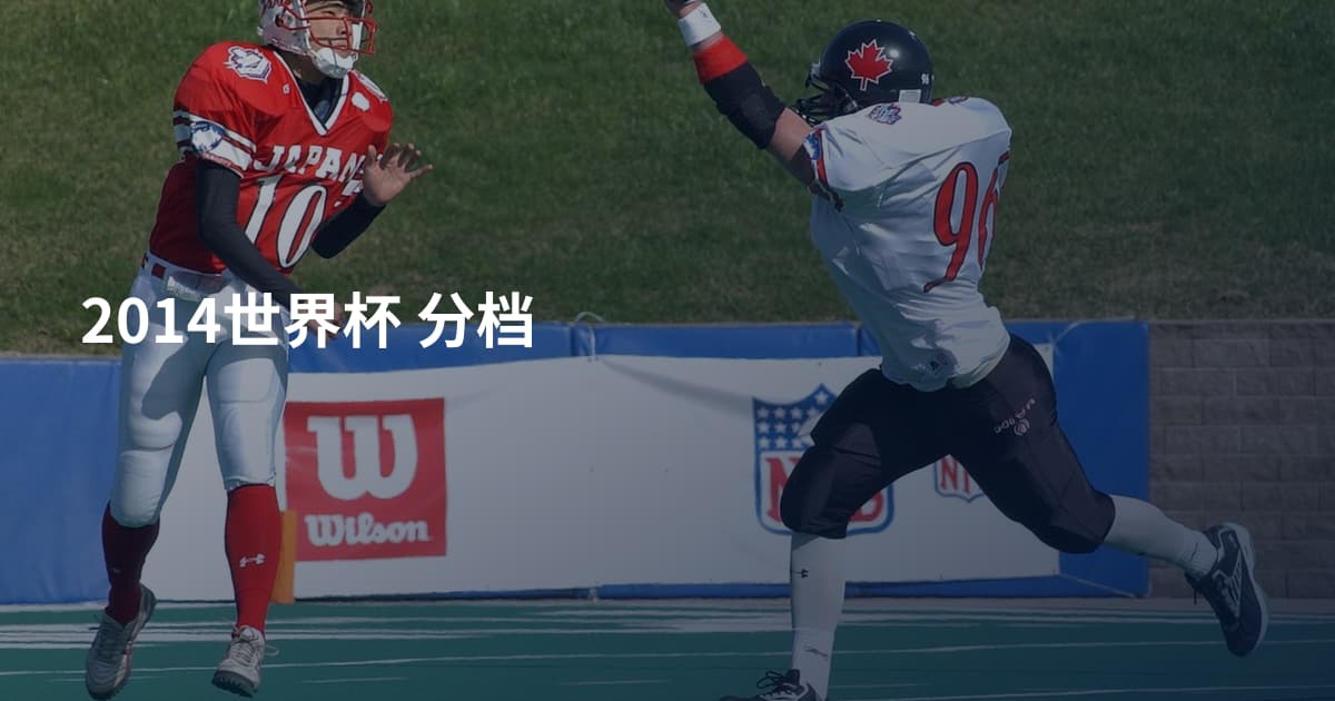 2014世界杯 分档