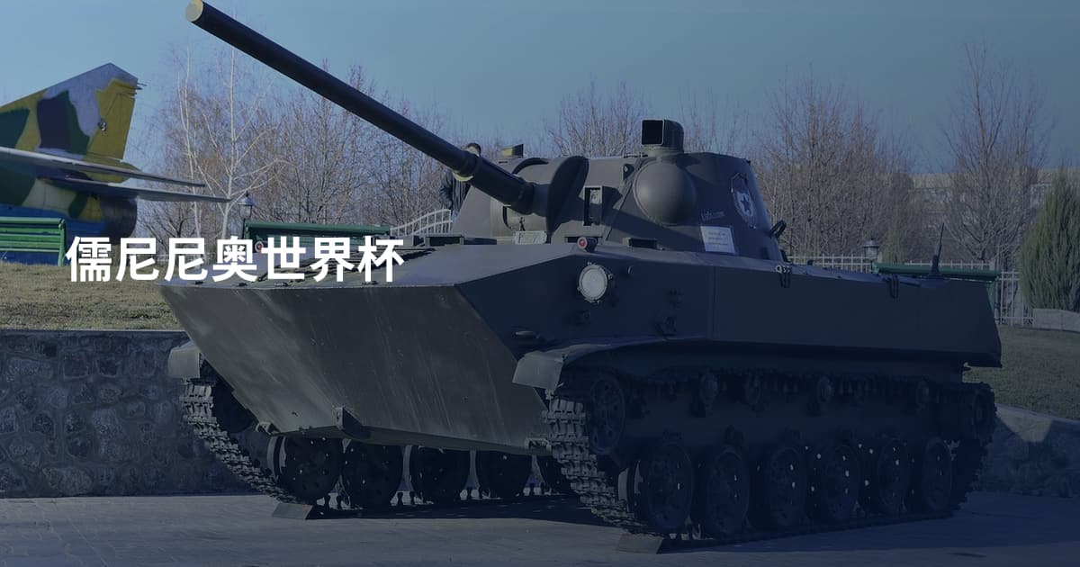 儒尼尼奥世界杯