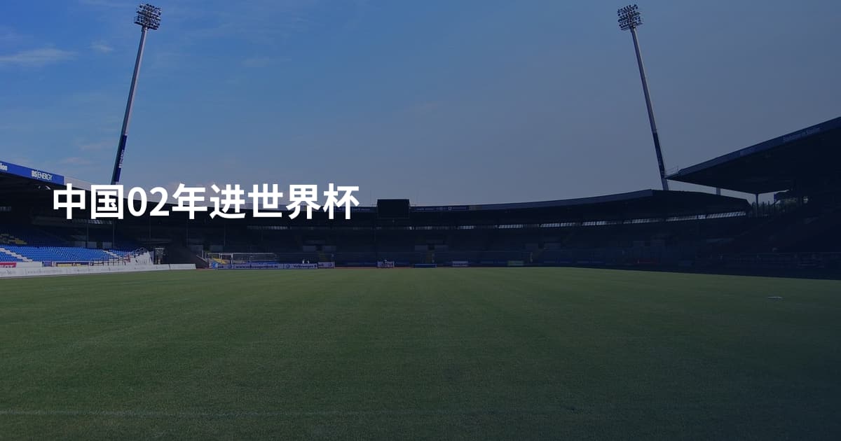 中国02年进世界杯