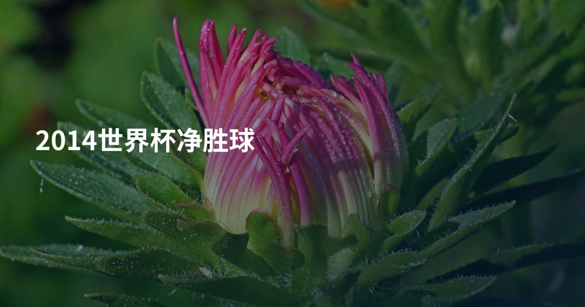 2014世界杯净胜球