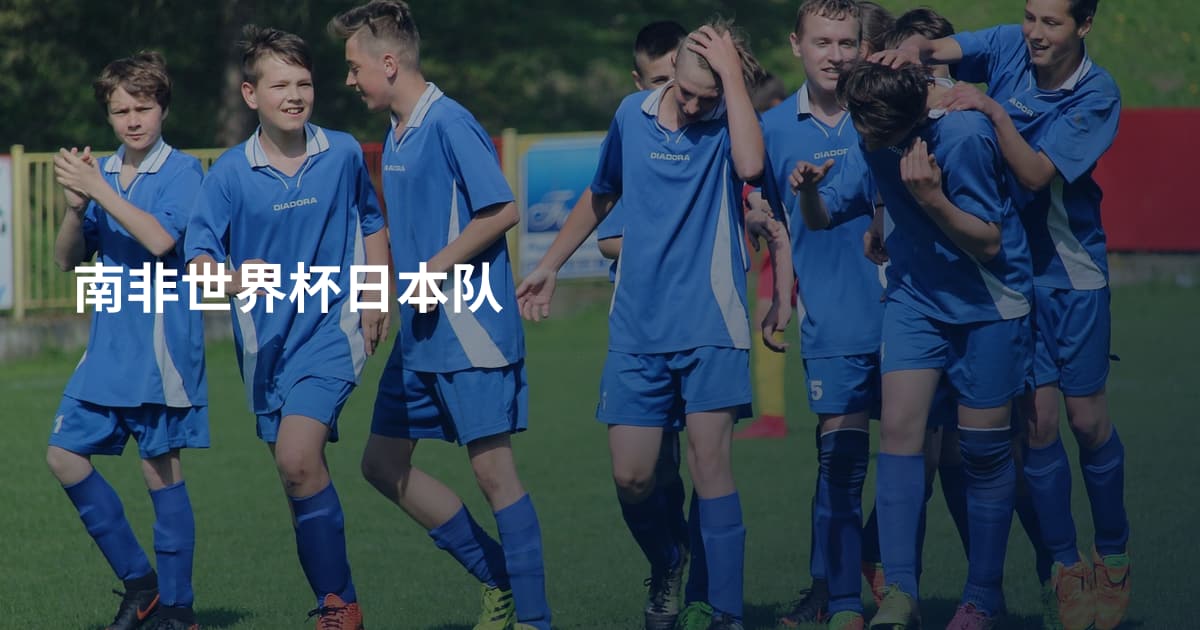 南非世界杯日本队