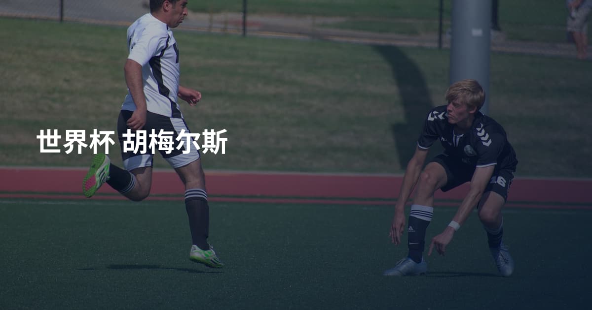 世界杯 胡梅尔斯