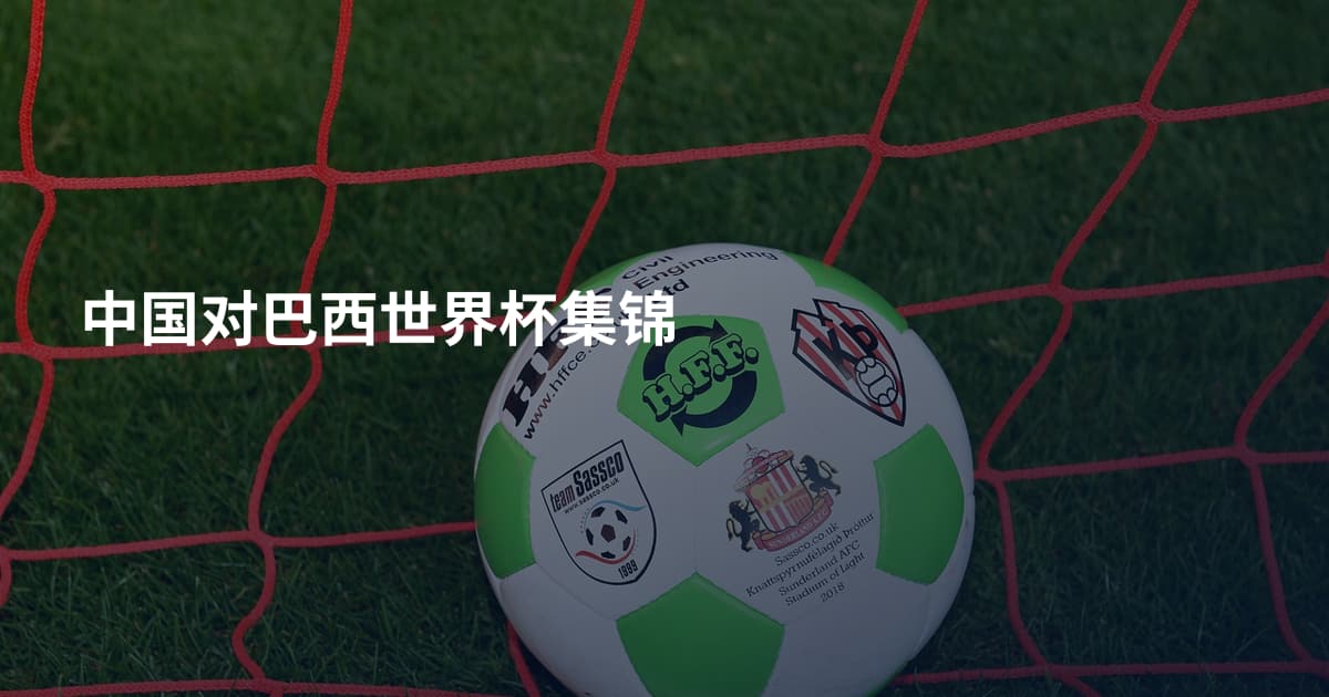 中国对巴西世界杯集锦