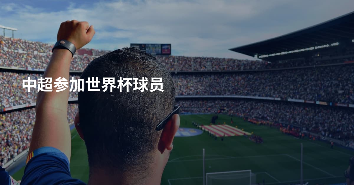 中超参加世界杯球员