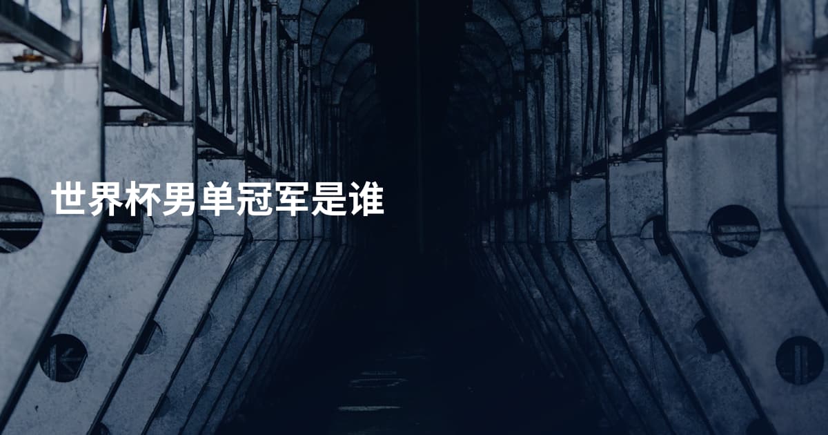 世界杯男单冠军是谁