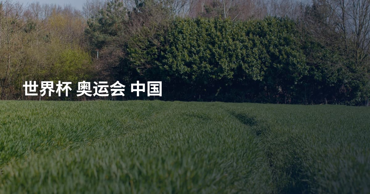 世界杯 奥运会 中国