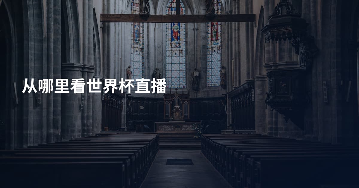 从哪里看世界杯直播