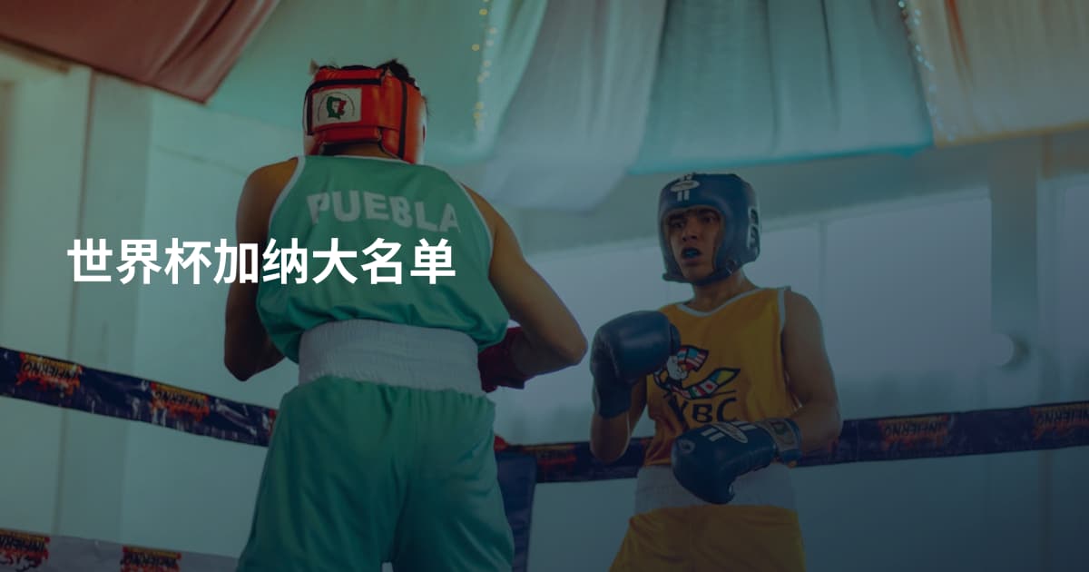 世界杯加纳大名单