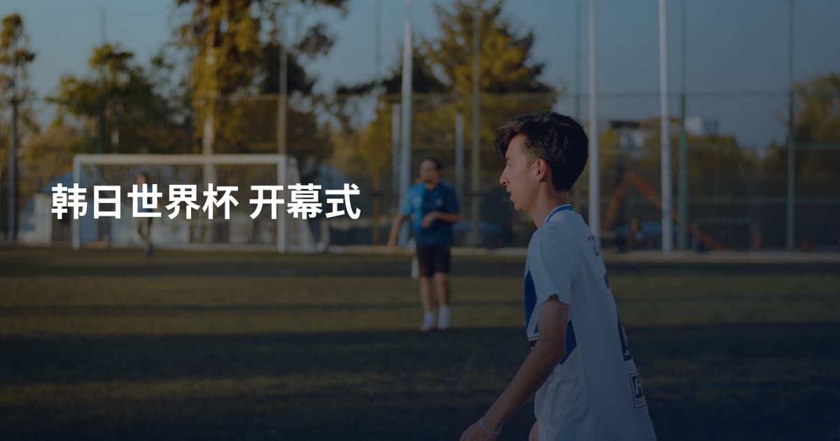 韩日世界杯 开幕式