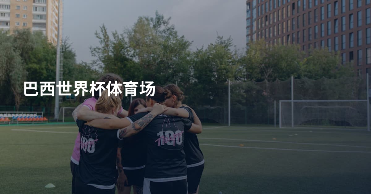 巴西世界杯体育场
